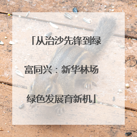 从治沙先锋到绿富同兴：新华林场绿色发展育新机