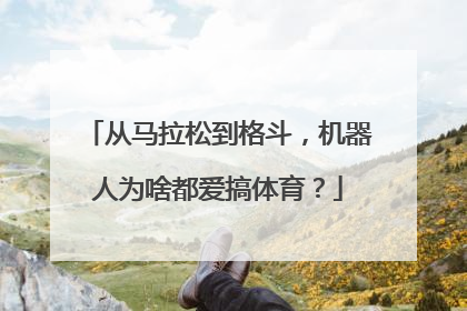 从马拉松到格斗，机器人为啥都爱搞体育？