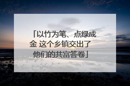 以竹为笔、点绿成金 这个乡镇交出了他们的共富答卷