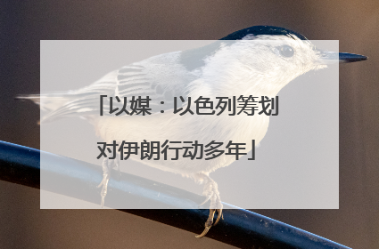 以媒：以色列筹划对伊朗行动多年