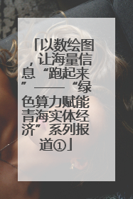 以数绘图，让海量信息“跑起来”——“绿色算力赋能青海实体经济”系列报道①