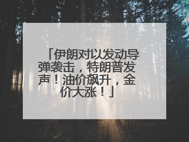 伊朗对以发动导弹袭击，特朗普发声！油价飙升，金价大涨！