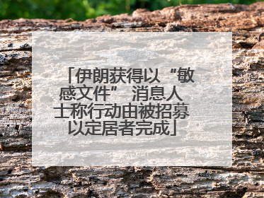 伊朗获得以“敏感文件” 消息人士称行动由被招募以定居者完成
