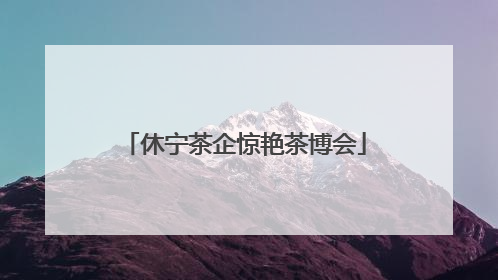 休宁茶企惊艳茶博会