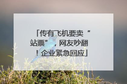 传有飞机要卖“站票”，网友吵翻！企业紧急回应