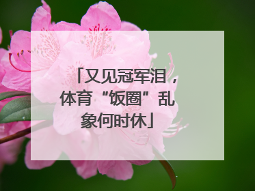 又见冠军泪，体育“饭圈”乱象何时休