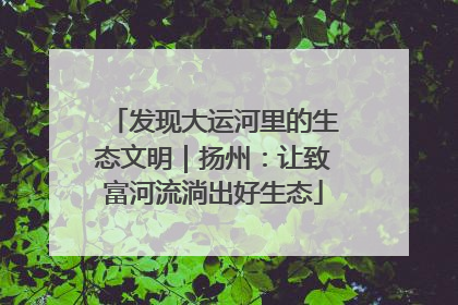 发现大运河里的生态文明｜扬州：让致富河流淌出好生态