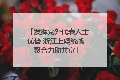 发挥党外代表人士优势 浙江上虞统战聚合力助共富