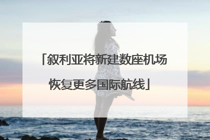 叙利亚将新建数座机场 恢复更多国际航线