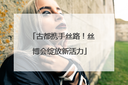 古都携手丝路！丝博会绽放新活力
