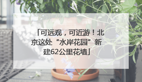 可远观，可近游！北京这处“水岸花园”新建62公里花墙