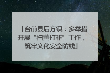 台前县后方镇：多举措开展“扫黄打非”工作，筑牢文化安全防线