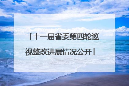 十一届省委第四轮巡视整改进展情况公开