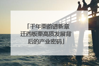 千年栗韵谱新章 迁西板栗高质发展背后的产业密码