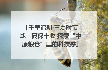 千里追耕·三夏时节丨战三夏保丰收 探索“中原粮仓”里的科技感