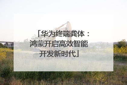 华为终端龚体：鸿蒙开启高效智能开发新时代