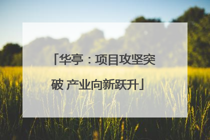 华亭：项目攻坚突破 产业向新跃升