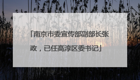 南京市委宣传部副部长张政，已任高淳区委书记