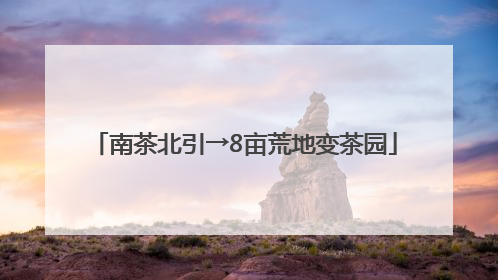 南茶北引→8亩荒地变茶园