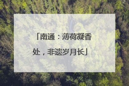 南通：薄荷凝香处，非遗岁月长