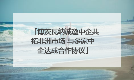 博茨瓦纳诚邀中企共拓非洲市场 与多家中企达成合作协议
