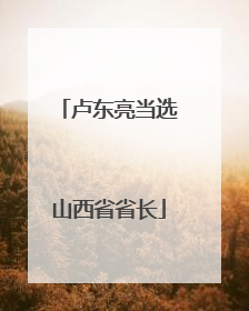 卢东亮当选山西省省长