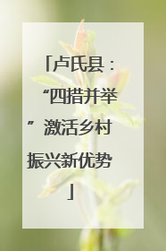 卢氏县：“四措并举”激活乡村振兴新优势
