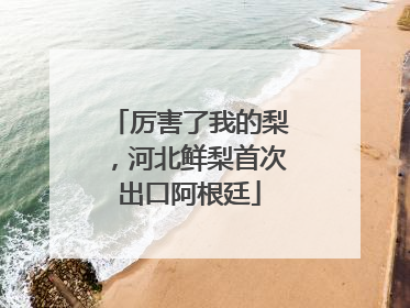 厉害了我的梨，河北鲜梨首次出口阿根廷