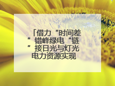 借力“时间差”错峰绿电“链”接日光与灯光 电力资源实现“时空腾挪”