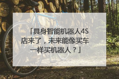 具身智能机器人4S店来了，未来能像买车一样买机器人？
