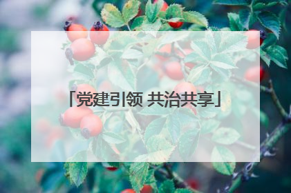 党建引领 共治共享