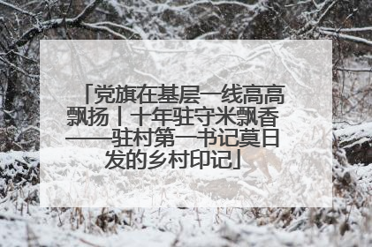 党旗在基层一线高高飘扬丨十年驻守米飘香——驻村第一书记莫日发的乡村印记
