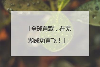 全球首款，在芜湖成功首飞！