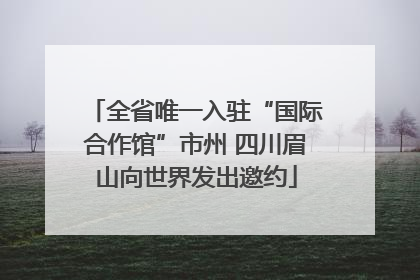 全省唯一入驻“国际合作馆”市州 四川眉山向世界发出邀约