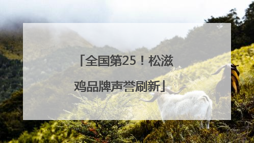 全国第25！松滋鸡品牌声誉刷新