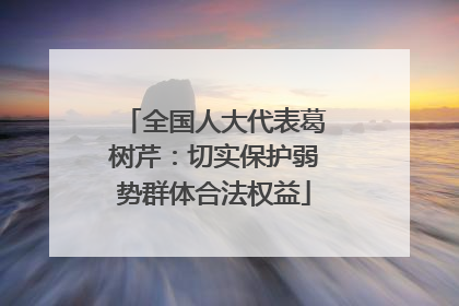 全国人大代表葛树芹：切实保护弱势群体合法权益