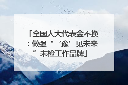 全国人大代表金不换：做强“‘豫’见未来”未检工作品牌
