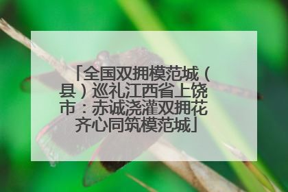 全国双拥模范城（县）巡礼江西省上饶市：赤诚浇灌双拥花 齐心同筑模范城
