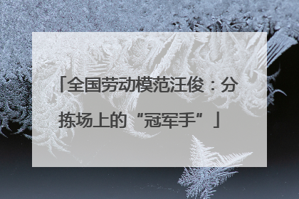 全国劳动模范汪俊：分拣场上的“冠军手”