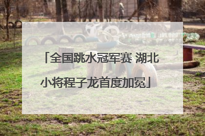 全国跳水冠军赛 湖北小将程子龙首度加冕