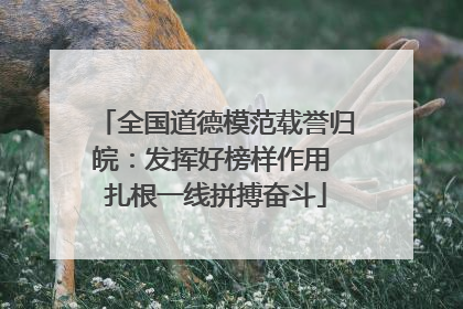 全国道德模范载誉归皖：发挥好榜样作用 扎根一线拼搏奋斗