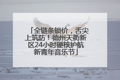 全链条锁价，舌尖上筑防！德州天衢新区24小时硬核护航新青年音乐节