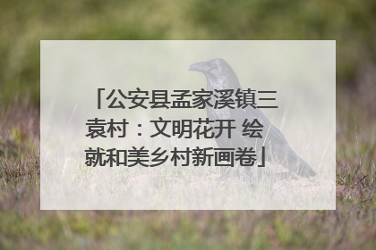 公安县孟家溪镇三袁村：文明花开 绘就和美乡村新画卷