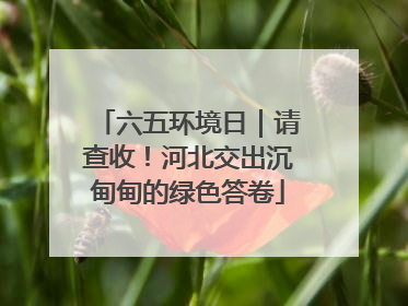 六五环境日｜请查收！河北交出沉甸甸的绿色答卷
