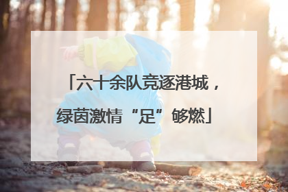 六十余队竞逐港城，绿茵激情“足”够燃