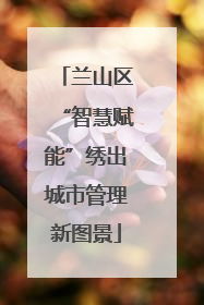 兰山区“智慧赋能”绣出城市管理新图景