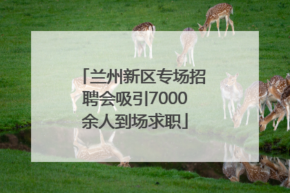 兰州新区专场招聘会吸引7000余人到场求职