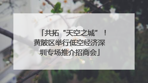 共拓“天空之城”！黄陂区举行低空经济深圳专场推介招商会