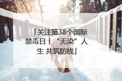 关注第38个国际禁毒日丨“无染”人生 共筑防线