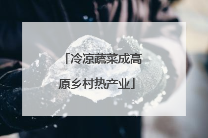 冷凉蔬菜成高原乡村热产业